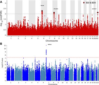 Patterns of Convergence and Divergence Between Bipolar Disorder Type I and Type II: Evidence From Integrative Genomic Analyses